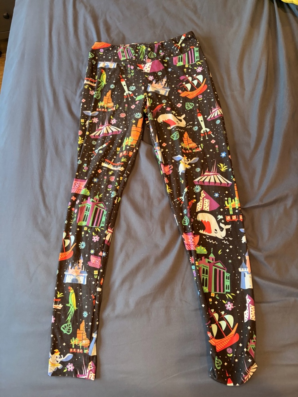 Walt Disney World Attractions ICONS leggings